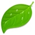Coda for mac