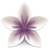 Vellum for mac