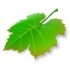 Breeze for mac