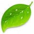 Coda 2 for mac