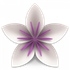 Vellum for mac