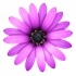 TextMate for mac