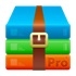 解優(yōu)專業(yè)版 for mac