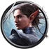 Divinity: Original Sin II for mac